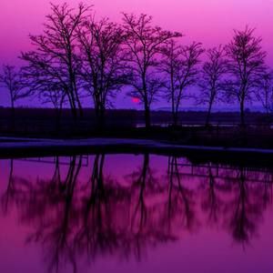 Meet your Posher, Christy